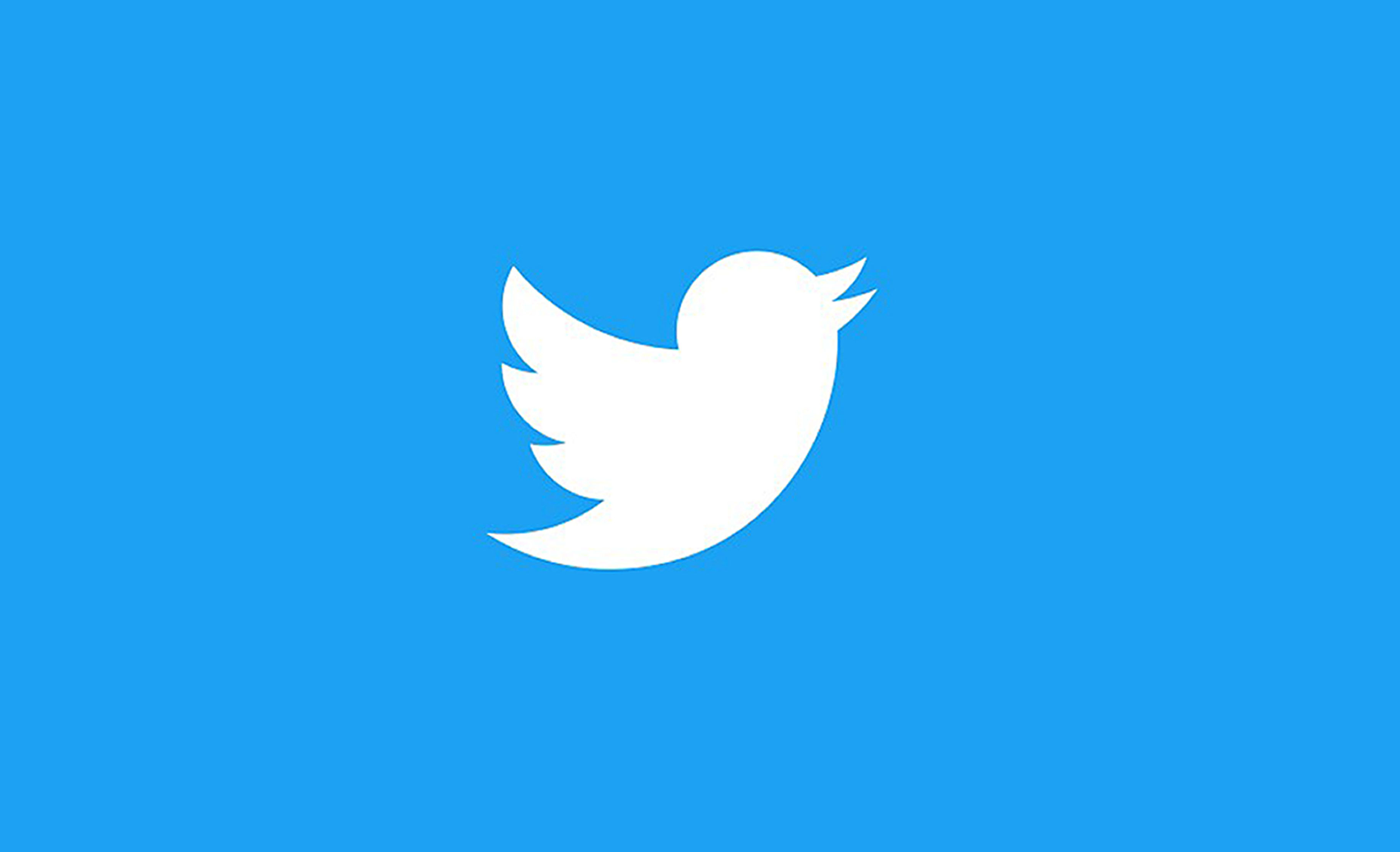 Twitter download. Логотип твиттера. Почему на лого твиттера птичка. Logotip for twitter. Логотип ВК птица.