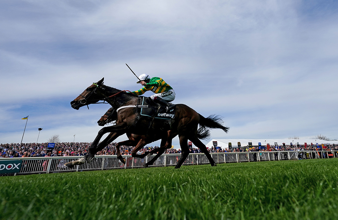 Racing Grand National with Farringdon: a horse by horse guide | Morning ...