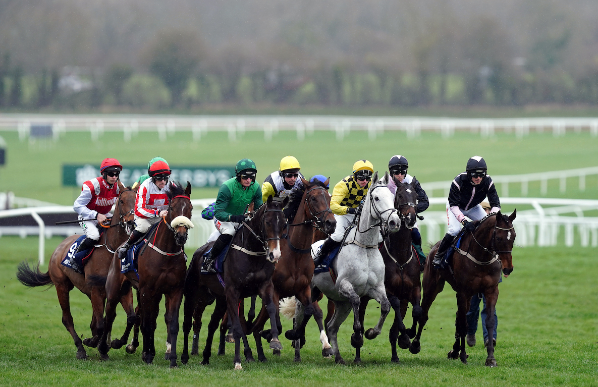 Cheltenham Festival preview with Farringdon: Day 3 - TrendRadars UK