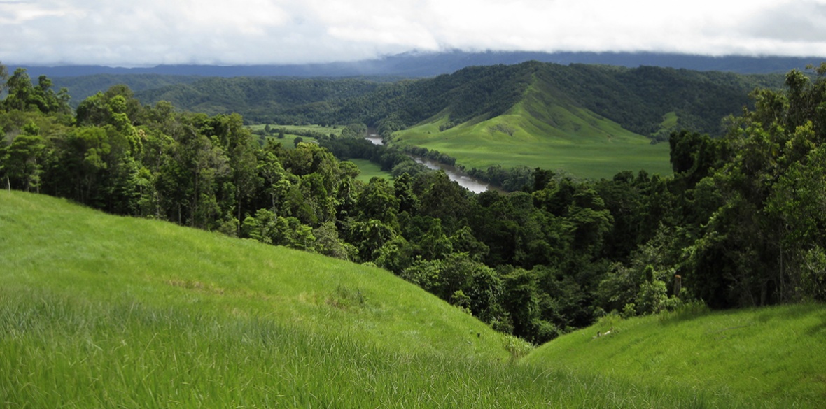 World's Oldest Rainforest Handed Back To Aboriginal Owners | Morning Star