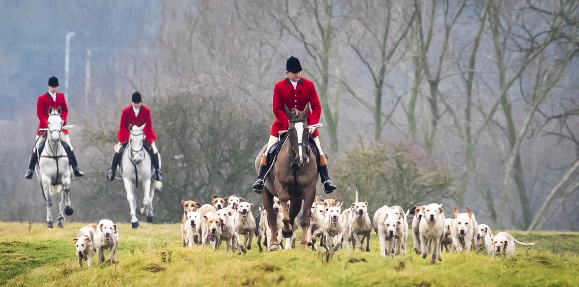 Illegal hunting continues 15 years since the Hunting Act came into ...