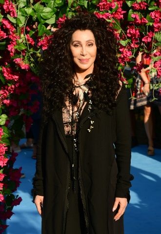 Cher has financed the release of the only Asian elephant in Pakistan