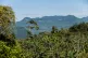 Part of the Bosawas Reserve