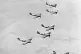 AIR WAR: A spitfire squadron flies to battle the Nazis, 1945