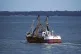 A fishing trawler going out to sea