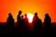 A crowd of people watching the setting sun from a hill in Ealing, west London