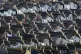 A view of houses across Dover in Kent