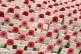 Poppy