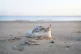 A child's shoe is left on the beach in Gravelines, France, after being dropped as people tried to reach Britain in a small boat, July 3, 2025