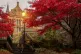 A student looks at trees with autumnal colour at the University of Glasgow campus, November 7, 2025