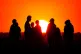 A crowd of people watching the setting sun from a hill in Ealing, west London