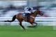 Whiskey Yankee ridden by Dylan Johnston on their way to winning the BetMGM EBF 'National Hunt' Novices' Hurdle at Ascot Racecourse, January 17, 2026