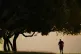 A man goes jogging on an autumn morning in Dublin's Phoenix park, October 7, 2022