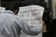 An electoral worker checks the color of newly printed ballots ahead of the June presidential second-round election in Lima, Peru, May 17, 2026