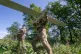 Ukrainian servicemen of Khartia brigade launch a drone towards Russian positions at the front line in the Kharkiv region, Ukraine, May 20, 2026
