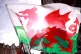 A Welsh flag before the Six Nations match at the Principality Stadium, Cardiff