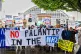 Campaigners rally against Palantir. Photo: Neil Terry Photography