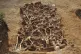 Exhumation of a mass grave of 26 Spanish Republicans killed by the fascists at Estépar, near Burgos. They were among an estimated 2,500 executions carried out in the area [Pic: Mario Modesto Mata /Creative Commons]
