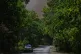 Paris wildfire