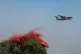 A water bomber drops water while fighting wildfires In Ares, western France, July 24, 2026