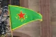 The Kurdish YPJ flag flies at a protest in Germany