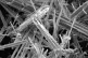 Asbestos 