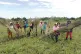 Nicaraguan farmers