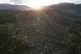 Cut down trees lie within view of the Cordillera Azul Nation