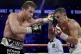 Canelo Alvarez (left) of Mexico, lands a punch on WBC/WBA mi