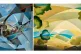 LYRICAL: (Left) Jonathan Monoplane, 1988 and (right) Lights 