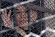 JUSTICE SERVED: Jeanine Anez in her cell in Miraflores women