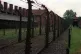 The electrified perimeter fence, accommodation blocks and a 