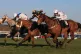 Knockanrawley (far left) ridden by Jason Maguire