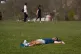 Members of the public sunbathe in Regents Park, London