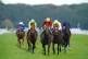 Iberian ridden by Tom Marquand wins the Betfred Champagne St
