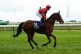 Star Style ridden by Pat Dobbs goes to post ahead of the Qip