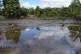 ENVIRONMENTAL APOCALYPSE: Oil pollution in the Lago Agrio oi