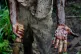 An oil spill from an abandoned Shell oil well in the Niger D