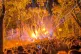 Noisily stage
