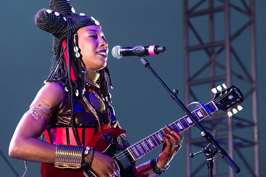 ‘In Mali, music is not just entertainment; it is part of our history, our traditions and our identity’