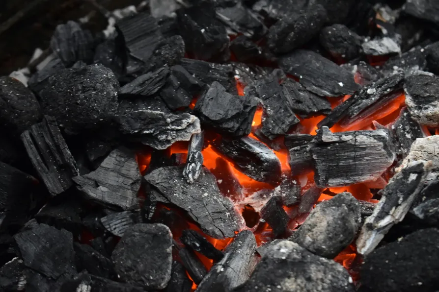 Australia’s coal and gas exports violate our human rights, say group in UN case