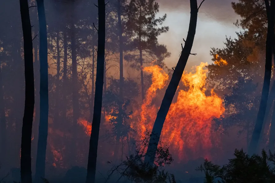Tens of thousands evacuated in western France as a wildfire spreads