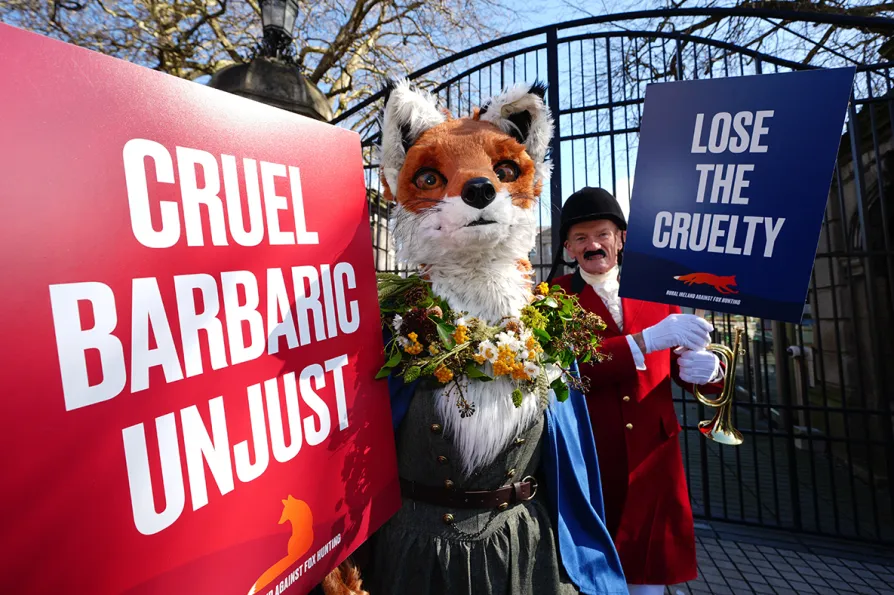 Campaigners slam fox hunting festival for sanitising brutality