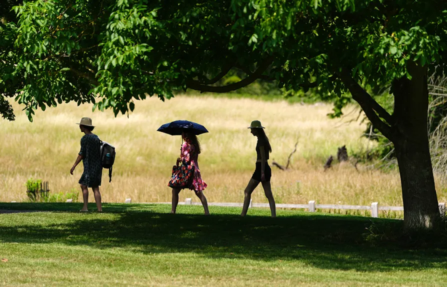 June heatwave led to 24 million lost hours of work, study shows