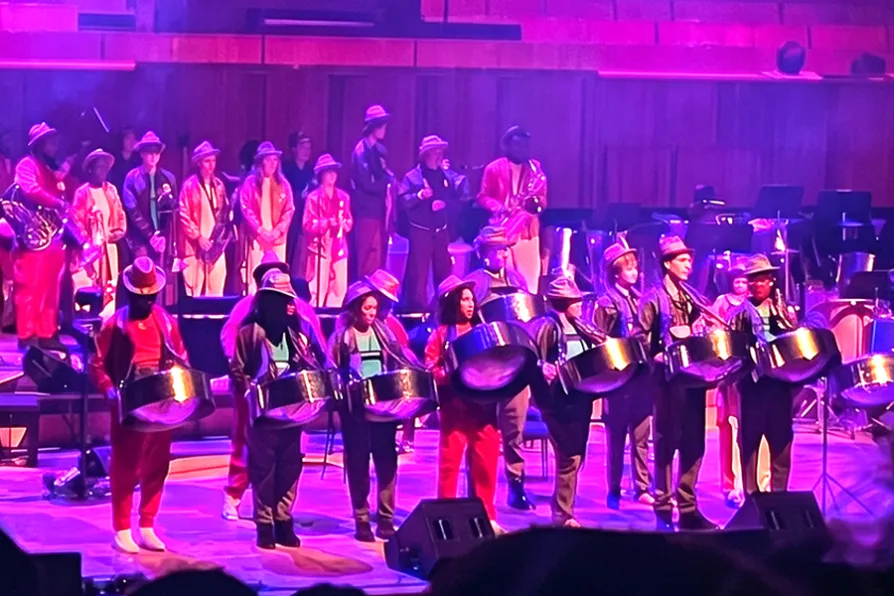 steel pan 2